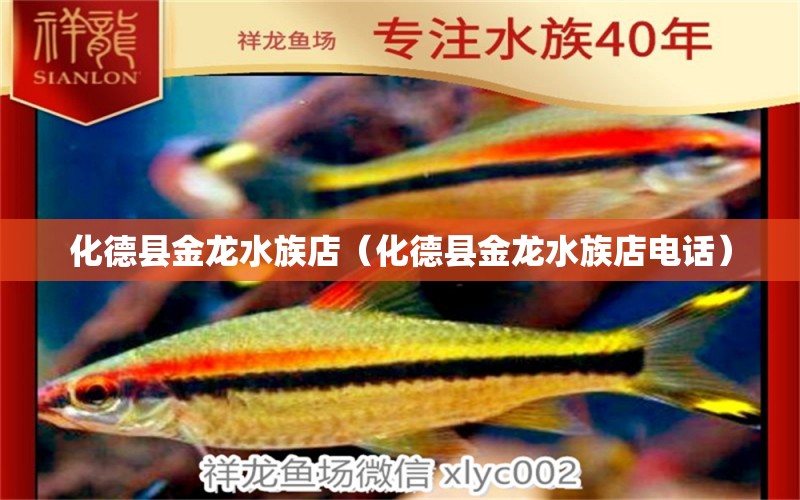 化德县金龙水族店（化德县金龙水族店电话） 全国水族馆企业名录