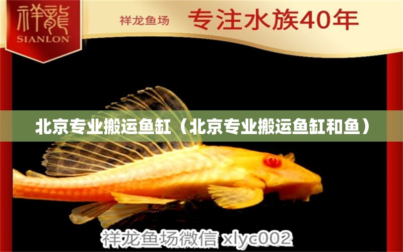 北京专业搬运鱼缸（北京专业搬运鱼缸和鱼） 祥龙水族医院