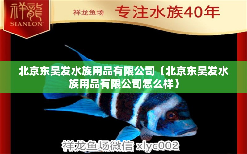 北京东昊发水族用品有限公司（北京东昊发水族用品有限公司怎么样） 水族用品