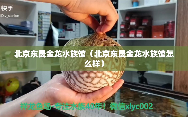 北京东晟金龙水族馆（北京东晟金龙水族馆怎么样） 全国水族馆企业名录