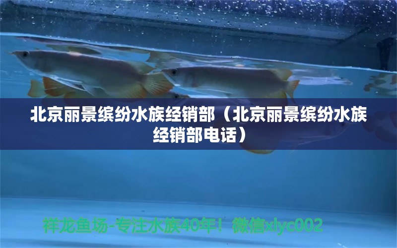 北京丽景缤纷水族经销部（北京丽景缤纷水族经销部电话） 全国水族馆企业名录