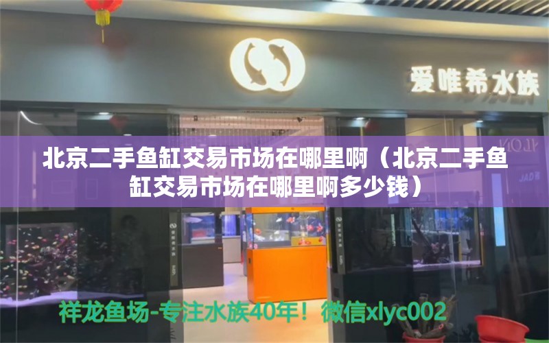 北京二手鱼缸交易市场在哪里啊（北京二手鱼缸交易市场在哪里啊多少钱） 观赏鱼市场（混养鱼）