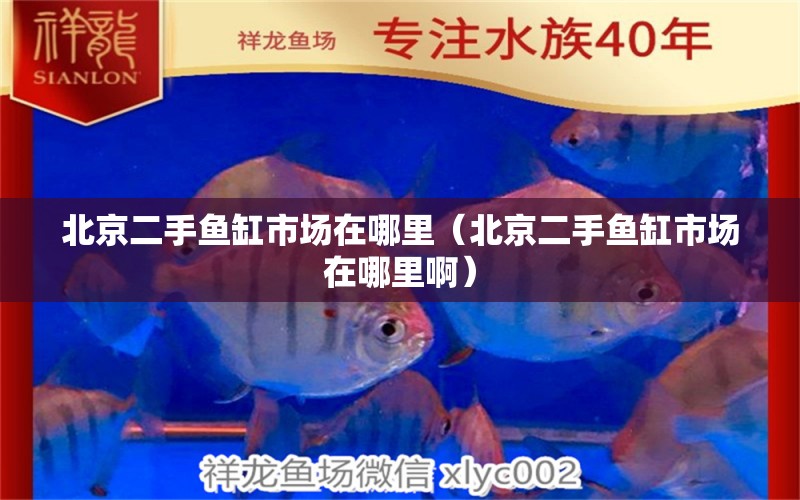 北京二手鱼缸市场在哪里（北京二手鱼缸市场在哪里啊） 照明器材