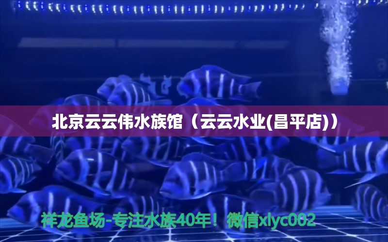 北京云云伟水族馆（云云水业(昌平店)） 全国水族馆企业名录