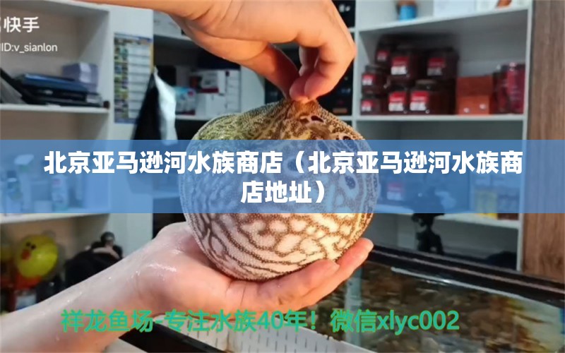 北京亚马逊河水族商店（北京亚马逊河水族商店地址）