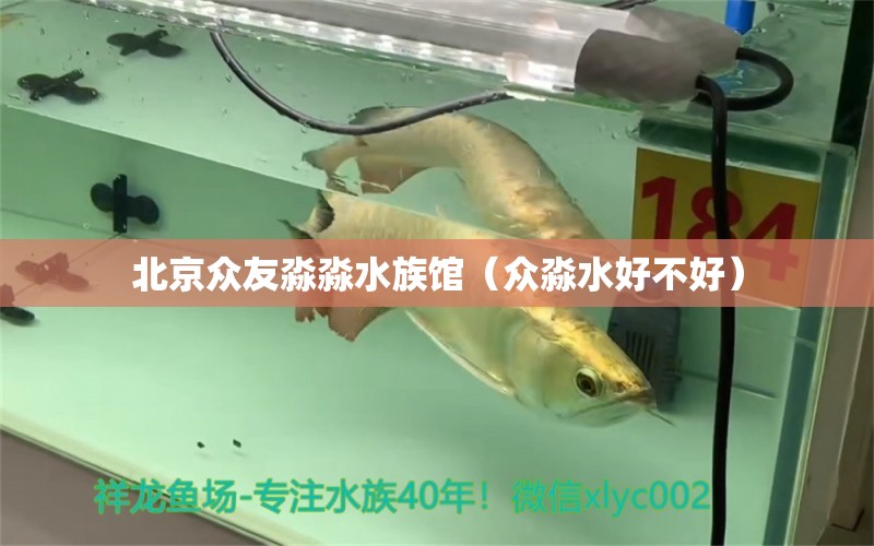 北京众友淼淼水族馆（众淼水好不好）