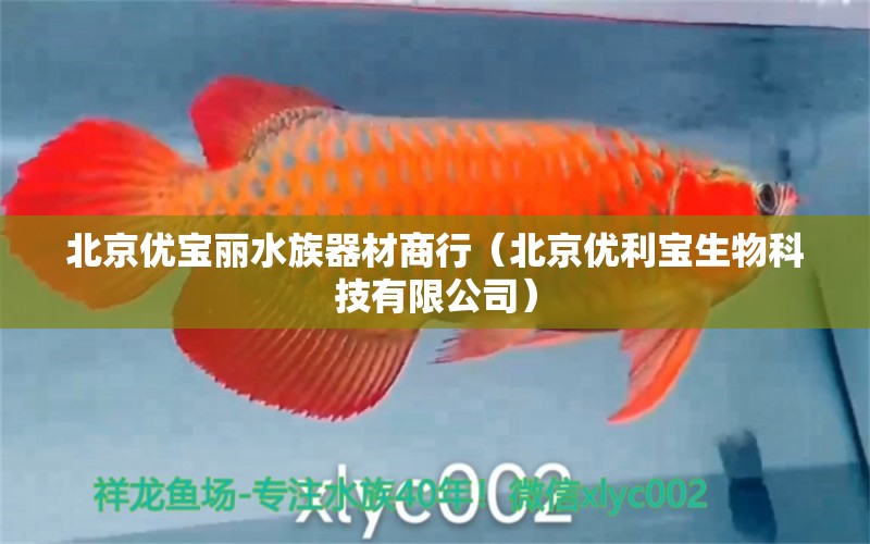 北京优宝丽水族器材商行（北京优利宝生物科技有限公司） 全国水族馆企业名录