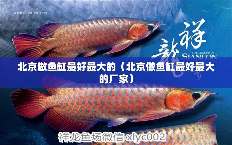 北京做鱼缸最好最大的（北京做鱼缸最好最大的厂家） 其他品牌鱼缸