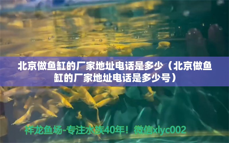 北京做鱼缸的厂家地址电话是多少（北京做鱼缸的厂家地址电话是多少号）