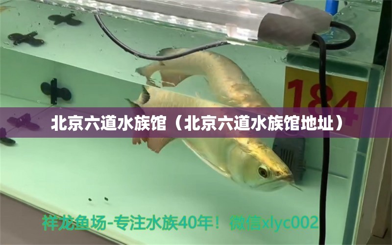 北京六道水族馆（北京六道水族馆地址） 全国水族馆企业名录