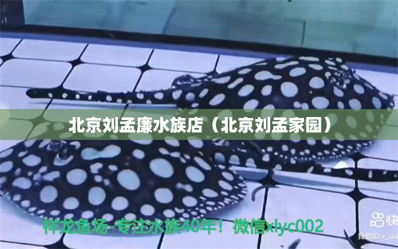 北京刘孟廉水族店（北京刘孟家园） 全国水族馆企业名录