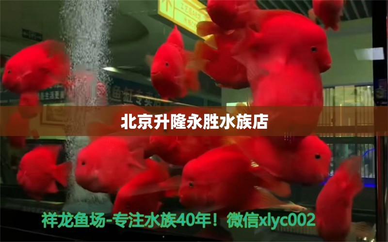 北京升隆永胜水族店 全国水族馆企业名录