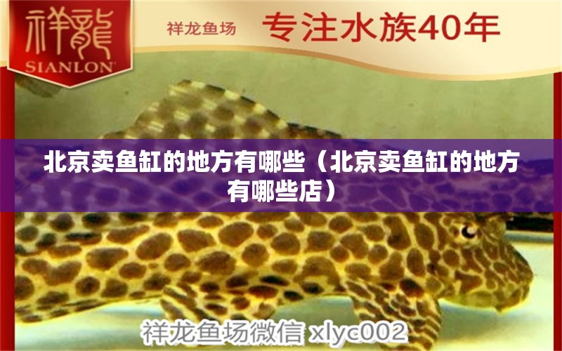 北京卖鱼缸的地方有哪些（北京卖鱼缸的地方有哪些店） 其他品牌鱼缸