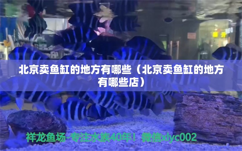 北京卖鱼缸的地方有哪些（北京卖鱼缸的地方有哪些店）