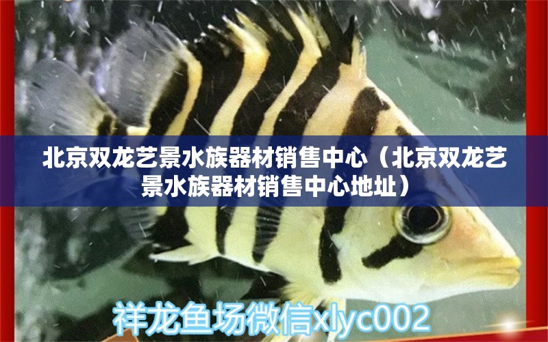 北京双龙艺景水族器材销售中心（北京双龙艺景水族器材销售中心地址）