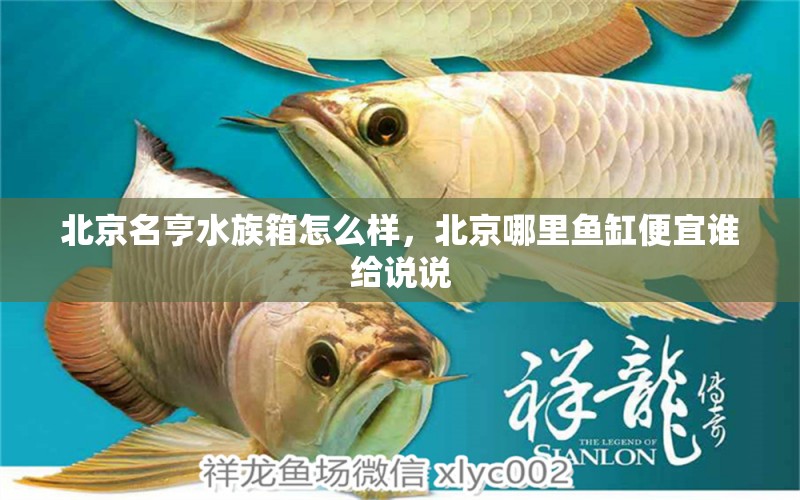 北京名亨水族箱怎么样，北京哪里鱼缸便宜谁给说说 鱼缸/水族箱