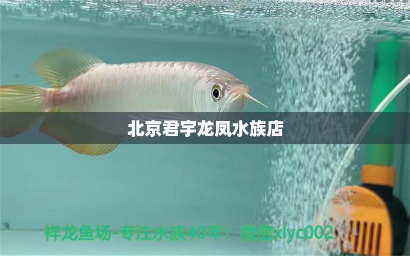 北京君宇龙凤水族店