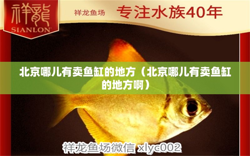 北京哪儿有卖鱼缸的地方（北京哪儿有卖鱼缸的地方啊） 其他品牌鱼缸