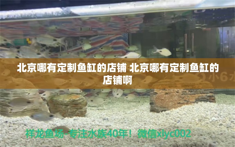 北京哪有定制鱼缸的店铺 北京哪有定制鱼缸的店铺啊 定时器/自控系统 第1张