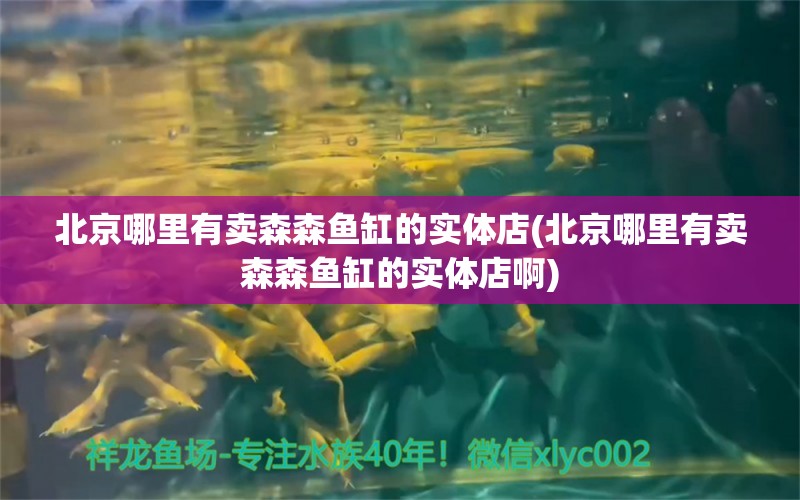 北京哪里有卖森森鱼缸的实体店(北京哪里有卖森森鱼缸的实体店啊) 皇冠黑白魟鱼