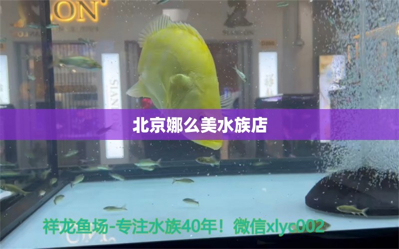 北京娜么美水族店