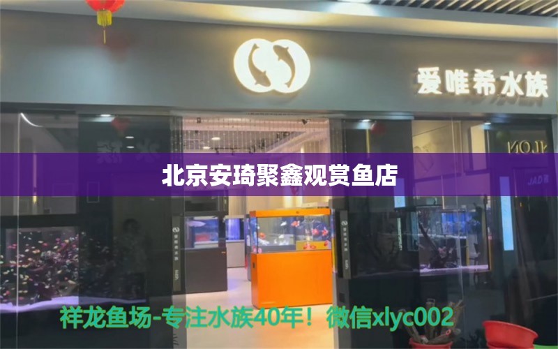 北京安琦聚鑫观赏鱼店