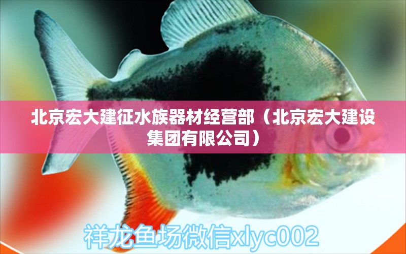 北京宏大建征水族器材经营部（北京宏大建设集团有限公司） 全国水族馆企业名录