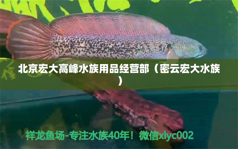 北京宏大高峰水族用品经营部（密云宏大水族）