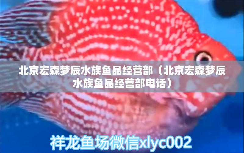 北京宏森梦辰水族鱼品经营部（北京宏森梦辰水族鱼品经营部电话）