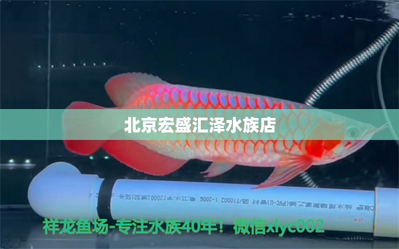 北京宏盛汇泽水族店 全国水族馆企业名录 第1张