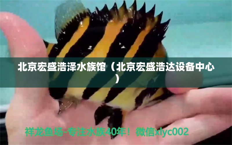 北京宏盛浩泽水族馆（北京宏盛浩达设备中心）