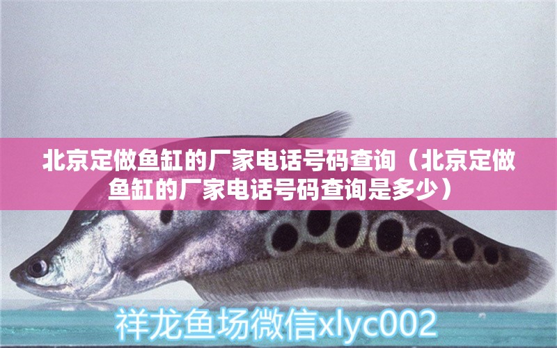 北京定做鱼缸的厂家电话号码查询（北京定做鱼缸的厂家电话号码查询是多少）