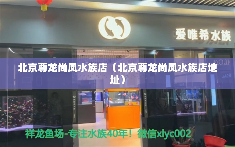 北京尊龙尚凤水族店（北京尊龙尚凤水族店地址） 全国水族馆企业名录