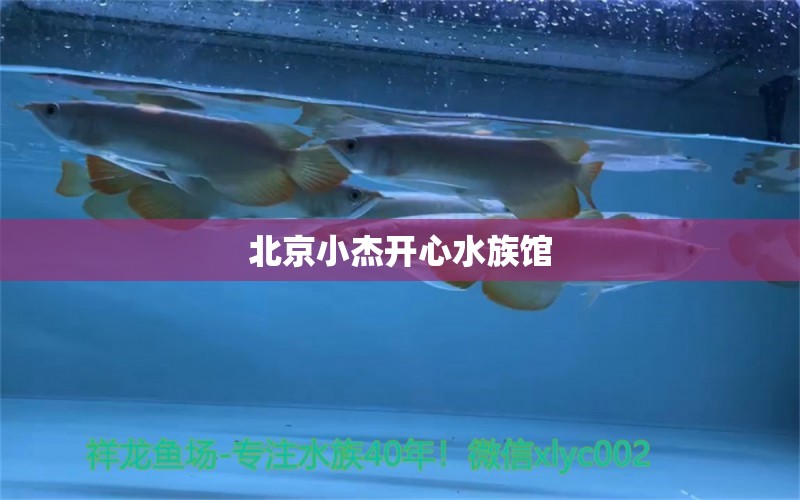 北京小杰开心水族馆 全国水族馆企业名录