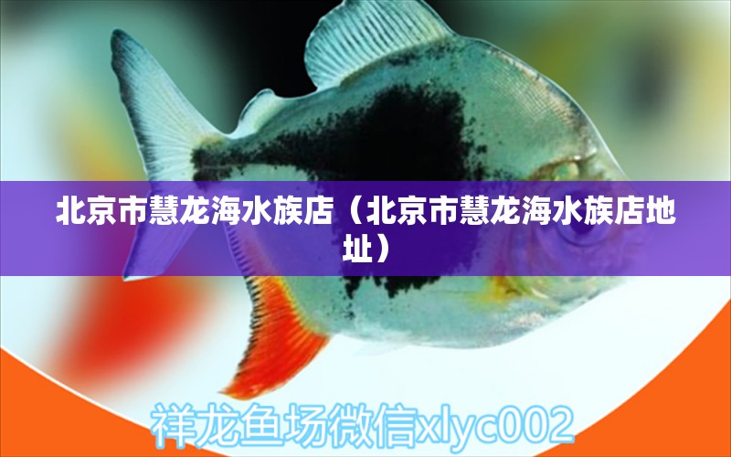 北京市慧龙海水族店（北京市慧龙海水族店地址） 全国水族馆企业名录