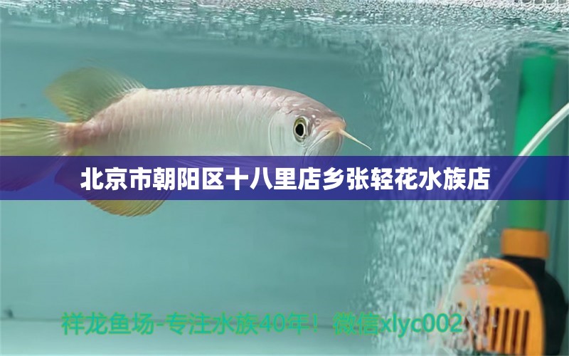 北京市朝阳区十八里店乡张轻花水族店 全国水族馆企业名录