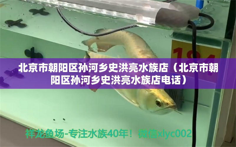 北京市朝阳区孙河乡史洪亮水族店（北京市朝阳区孙河乡史洪亮水族店电话）