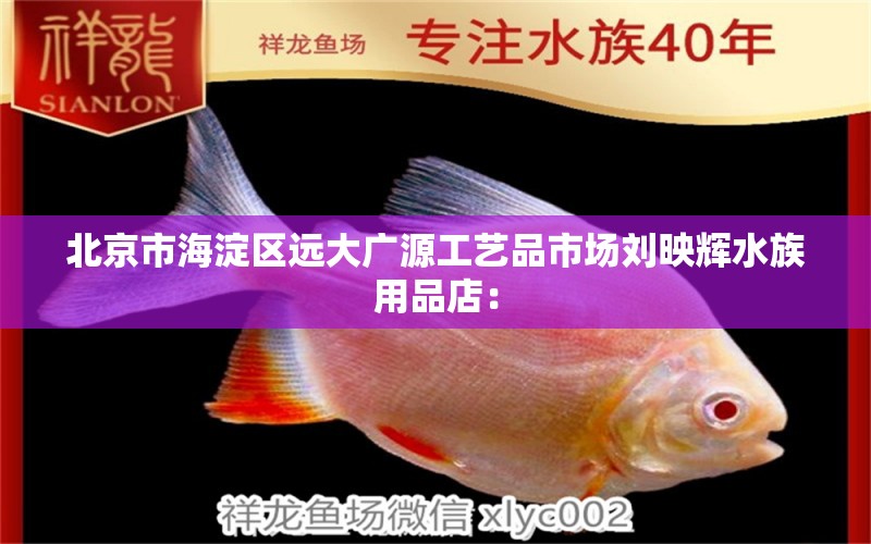 北京市海淀区远大广源工艺品市场刘映辉水族用品店：