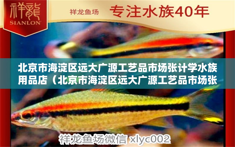 北京市海淀区远大广源工艺品市场张计学水族用品店（北京市海淀区远大广源工艺品市场张计学水族用品店介绍） 全国观赏鱼市场 第1张