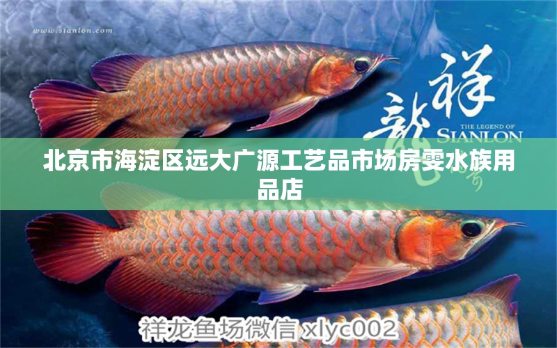 北京市海淀区远大广源工艺品市场房雯水族用品店 水族用品