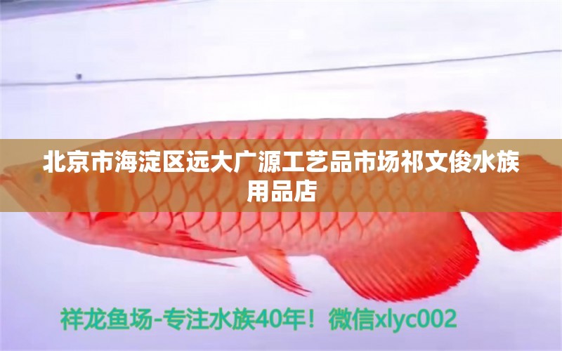 北京市海淀区远大广源工艺品市场祁文俊水族用品店 水族用品