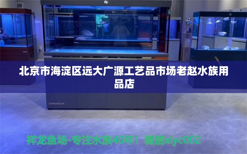 北京市海淀区远大广源工艺品市场老赵水族用品店