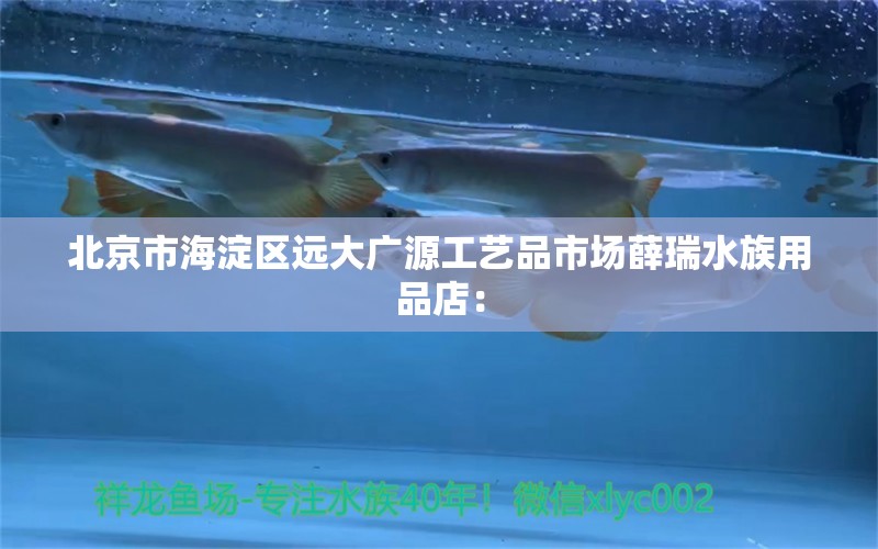 北京市海淀区远大广源工艺品市场薛瑞水族用品店： 水族用品