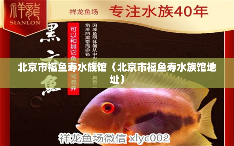 北京市福鱼寿水族馆（北京市福鱼寿水族馆地址） 全国水族馆企业名录