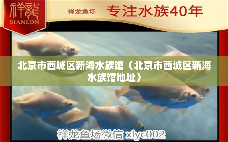 北京市西城区新海水族馆（北京市西城区新海水族馆地址） 全国水族馆企业名录