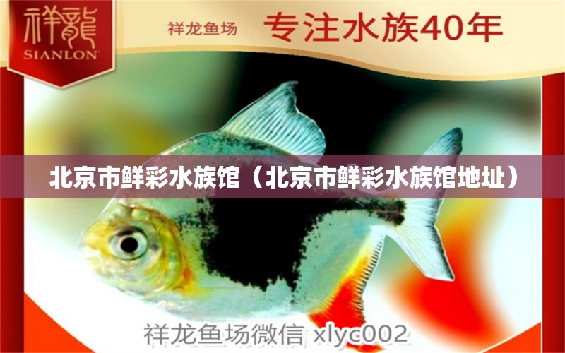 北京市鲜彩水族馆（北京市鲜彩水族馆地址）