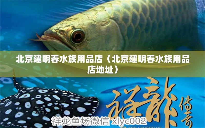 北京建明春水族用品店（北京建明春水族用品店地址）