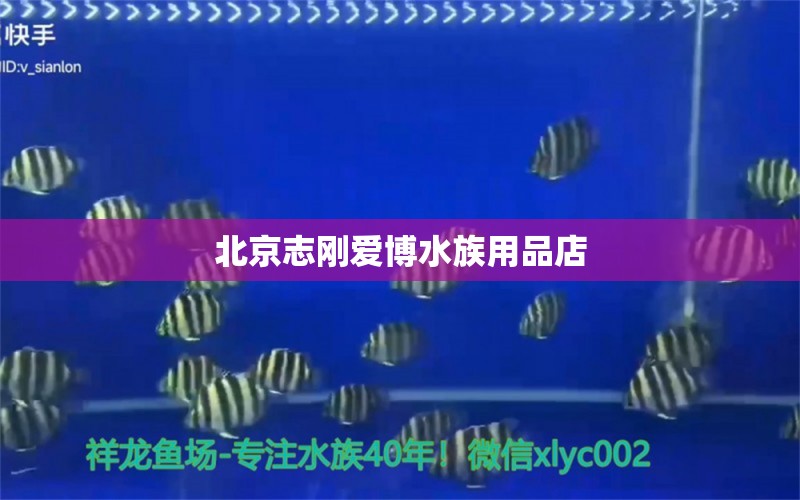 北京志刚爱博水族用品店