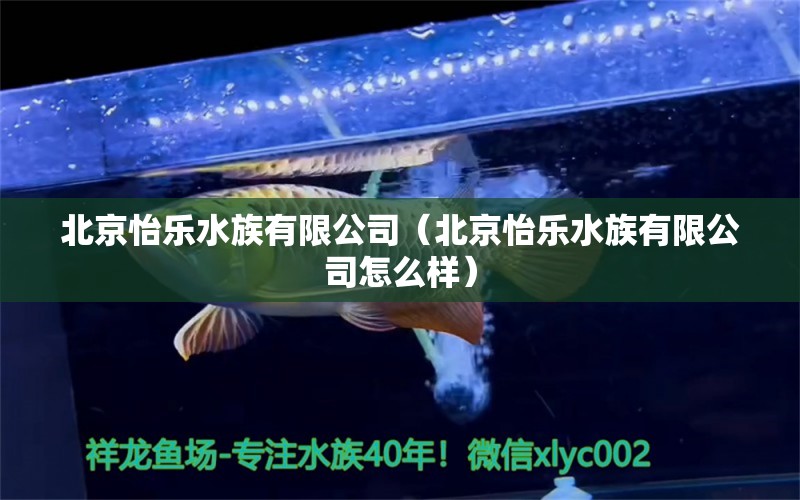 北京怡乐水族有限公司（北京怡乐水族有限公司怎么样） 全国水族馆企业名录