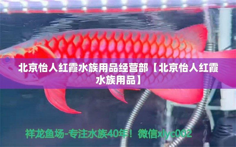 北京怡人红霞水族用品经营部【北京怡人红霞水族用品】 全国观赏鱼市场 第1张